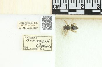Media type: image;   Entomology 769497 Aspect: Labels